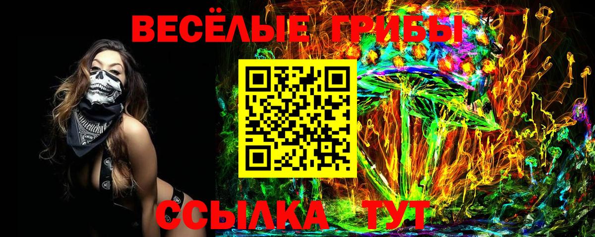 Серов  где купить наркоту  Вход с VPN  Псилоцибиновые грибы прущие грибы 